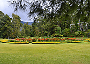 Victoria Park: Blossoming Haven
