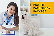 Paw-Fit Pathology Package: Keeping Your Pet Healthy On The Inside