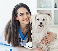 Dog Health Insurance in Mumbai