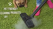 Pet Friendly Cleaning Products: DIY Pet Safe Cleaning