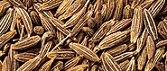 Cumin Seeds : Benefits, Side Effects, Nutritional