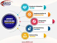 eBSEG Software Development Services