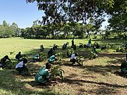 Website at https://growbilliontrees.com/pages/world-environment-day-tree-plantation-drive