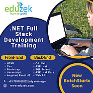 Website at https://www.eduzek.com/courses/dotnet-core-training/