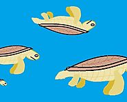 Mořské želvy pokračování- Tackk