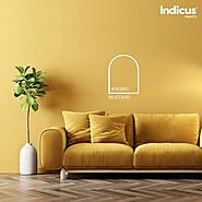 Boost mood & energy: discover vibrant colour schemes for your home - Indicus Paints