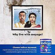 Prevent Leaks Before They Start: Indicus Aquaseal & Waterproof Painting Services - Indicus Paints