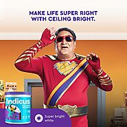 Chennai's Ceiling Bright & Interior Paint Experts - Indicus Paints