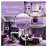 Premier Interior Wall Colors & Painting Services - Indicus Paints