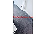 Best carpet cleaning company in Adelaide