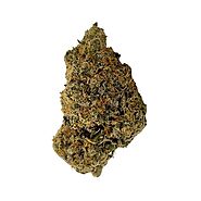 Check Out Our AA Archives Online - Togo Weed