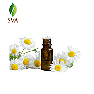 Organic Essential Oil Bulk Exporter USA | SVA