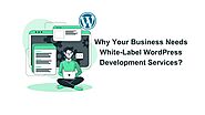 Expert WordPress Development Services | IIH Global