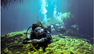 Dive into the Mystical Depths!