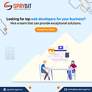 Instantly Hire Remote Web Developer on Contract - Top Talents Only