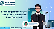 Hadi E Learning the best online IT training institute