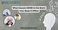What Causes ADHD in the Brain: How Does It Affect