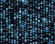 Decoding Your Genes with Whole Exome Sequencing Service