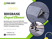 Brisbane Carpet Cleaner