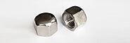 Hex Cap Nut Manufacturer & Supplier in India - Akbar Fasteners