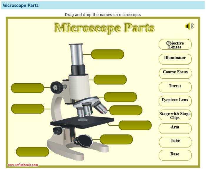 Microscope | A Listly List