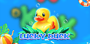 Lucky Duck: