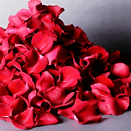 Petals Collection – Eternal Roses Milano