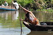 Experience a Tonle Sap Lake boat tour