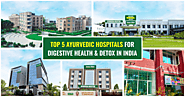 Top 5 Ayurvedic Hospitals for Digestive Health & Detox in India