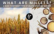 What Are Millets? A Guide to Different Types of Millets with Their Benefits!