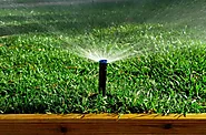Best Automatic Irrigation Systems in Dubai | 100% Quality Work