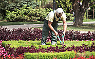 Affordable Garden Maintenance Services in Dubai​