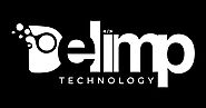 Globally Trusted Website Design Company in the United States with Delimp Technology