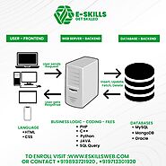 Full Stack Web Developer & Programming Coaching Courses In Indore - Eskills Web