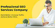 Professional SEO | Softgrid Computers