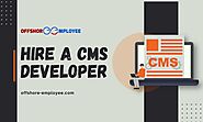 Major Reason to Hire a CMS Developer