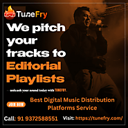 Tunefry Best Digital Music Distribution Platforms Service In India