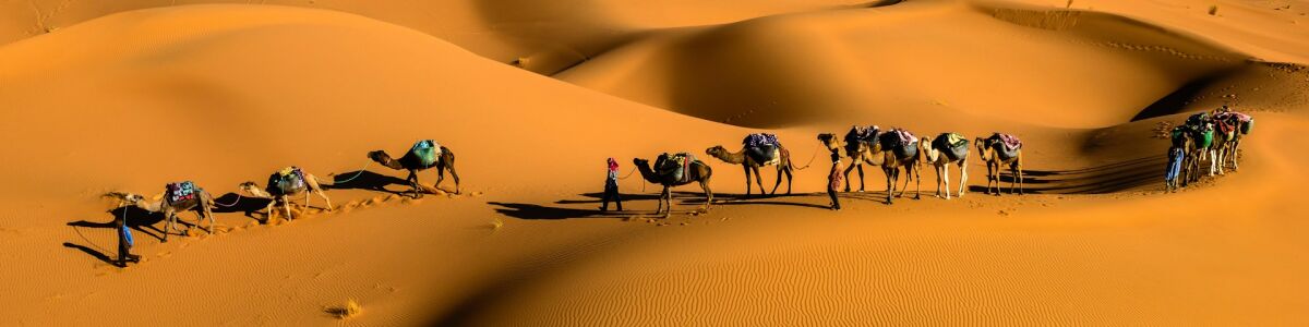 Listly must experience dubai desert adventures thrills and adventures amidst a sea of sand headline