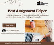 Best Assignment Writing Assistance