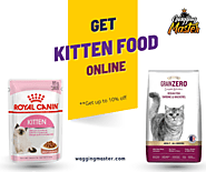 Get 10% OFF on all Kitten Foods Online