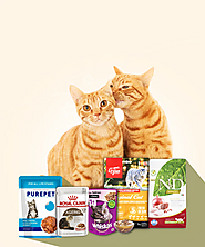 Best Kitten Food - Nutritious Options