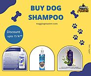 Dog Shampoos - Premium Grooming Essentials