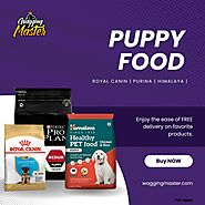 Healthy Puppy Food Choices - Wagging Master