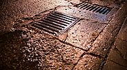 Top Signs You Have a Landscape Drainage Issue