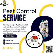 Sprawling Insect and Pest Solution for Southfield and Warren MI