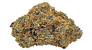 The Medicinal Benefits of Gary Poppins Strain: A Popular Choice Among Canadian Users – Togo Weed – Online Weed Dispen...