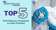 Top 5 PCD Pharma Franchise Companies in Uttar Pradesh