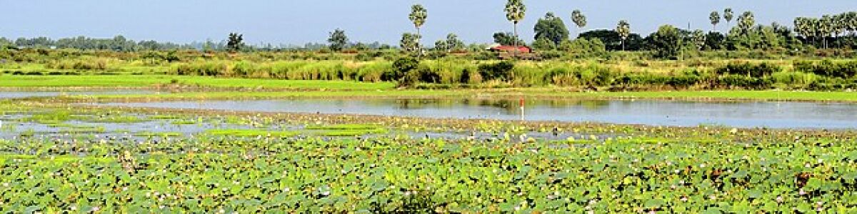 Listly the best things to do in siem reap headline