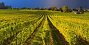 Kelowna Beer Tour, Kelowna Spirits Tour, Kelowna Cider Tour