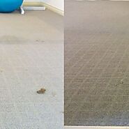 Carpet cleaning services Adelaide